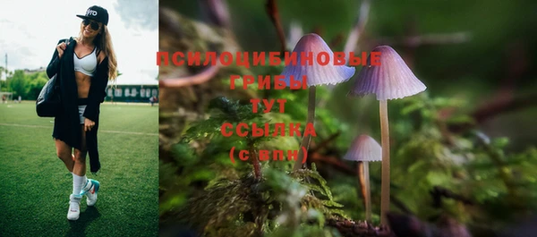 бошки Горняк