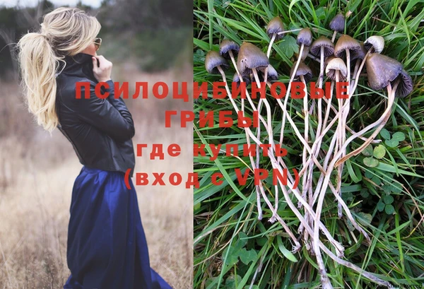 бошки Горняк