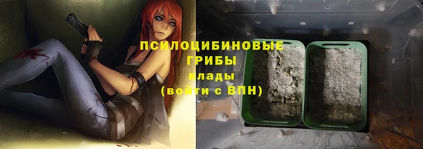 бошки Горняк