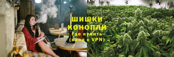 бошки Горняк