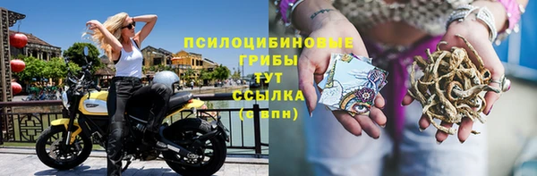 гидра Горно-Алтайск